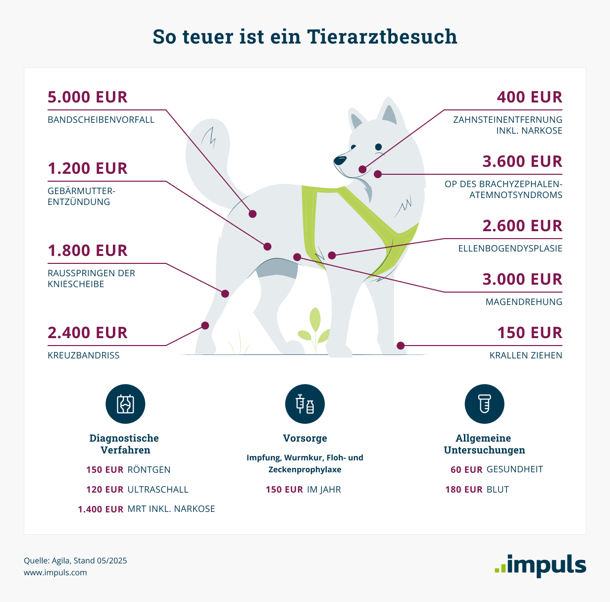 Tierarztbesuch kostet je nach Behandlung zwischen 60 Euro (Gesundheits-Check-up) und 5000 Euro (Bandscheibenvorfall). Tierarztbesuch kostet je nach Behandlung zwischen 60 Euro (Gesundheits-Check-up) und 5000 Euro (Bandscheibenvorfall).