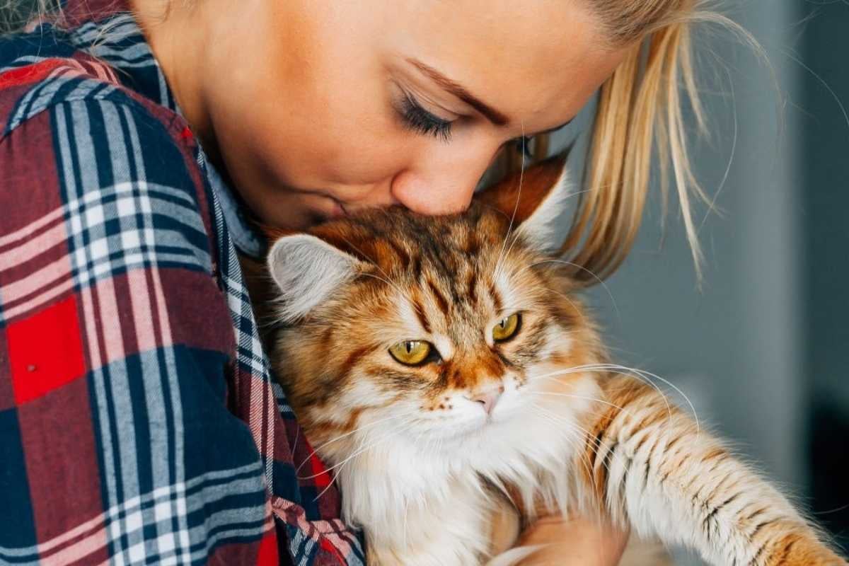 Katzenkranken-versicherung