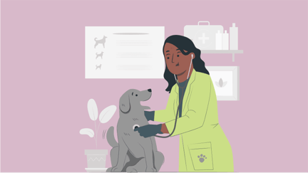 Physiotherapie für Hunde absichern