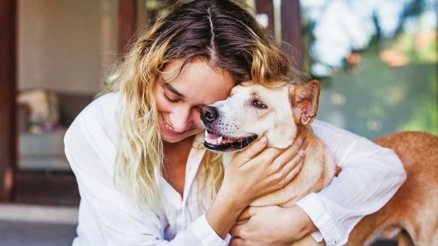 Hundekrankenversicherung