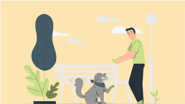 Können mehrere Hunde mit einer Hundehaftpflicht versichert werden?